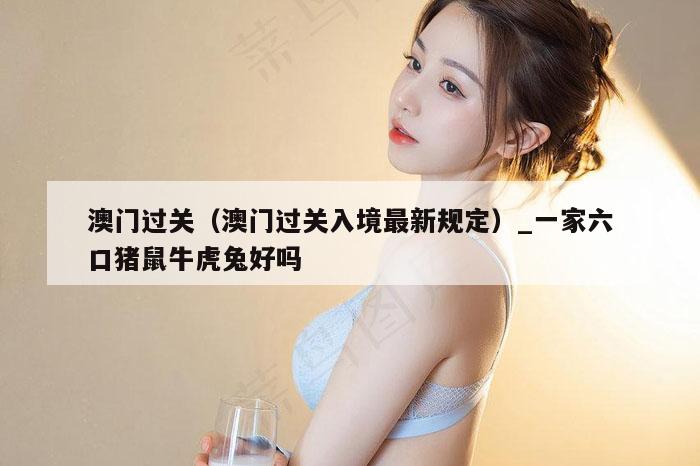 澳门过关（澳门过关入境最新规定）_一家六口猪鼠牛虎兔好吗